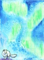 Aurora Borealis